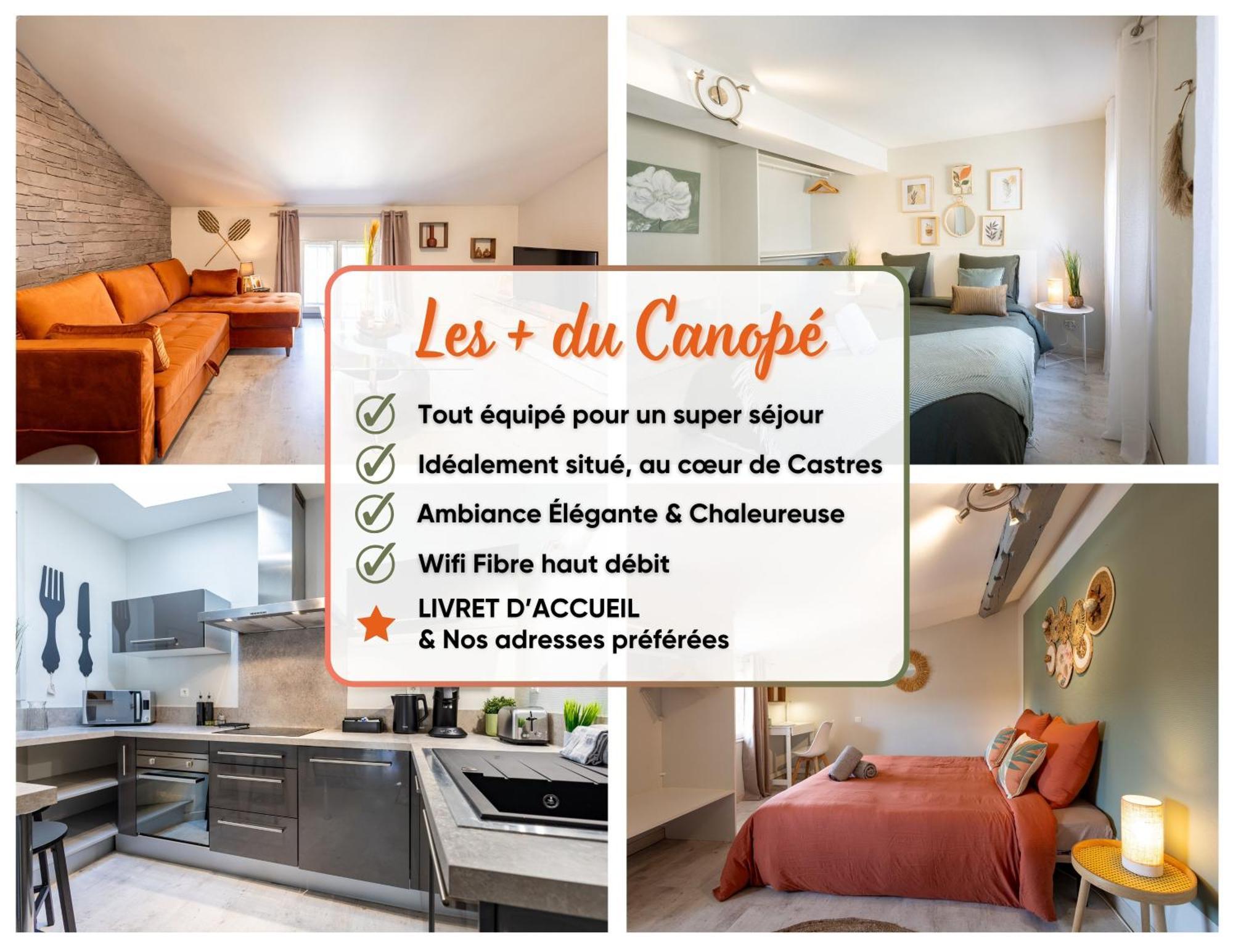 Le Canope - T3 Duplex, 2 Salles D'Eau, Hypercentre Castres  Zewnętrze zdjęcie