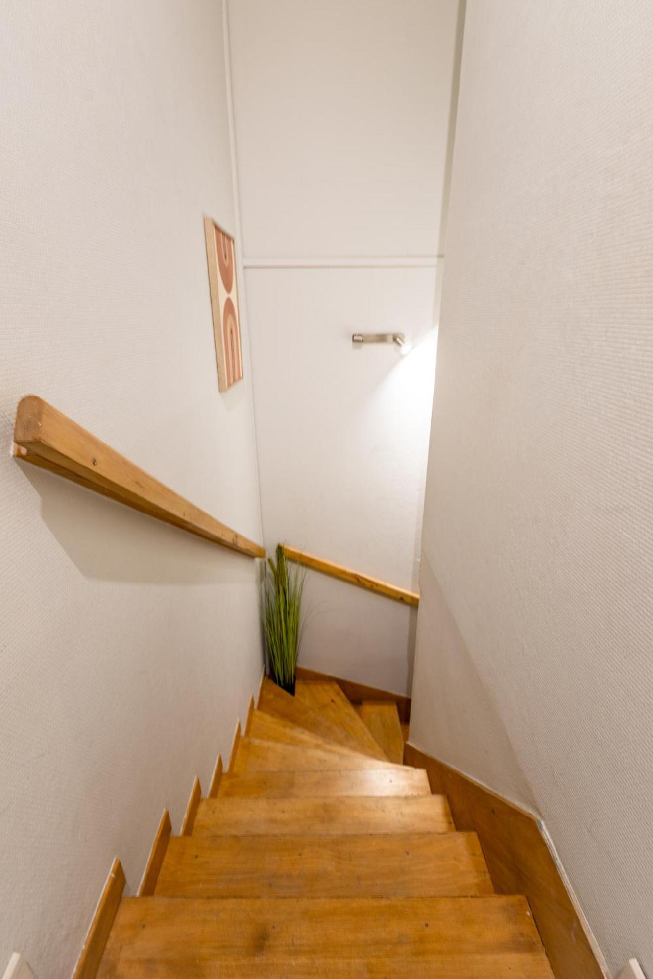 Le Canope - T3 Duplex, 2 Salles D'Eau, Hypercentre Castres  Zewnętrze zdjęcie