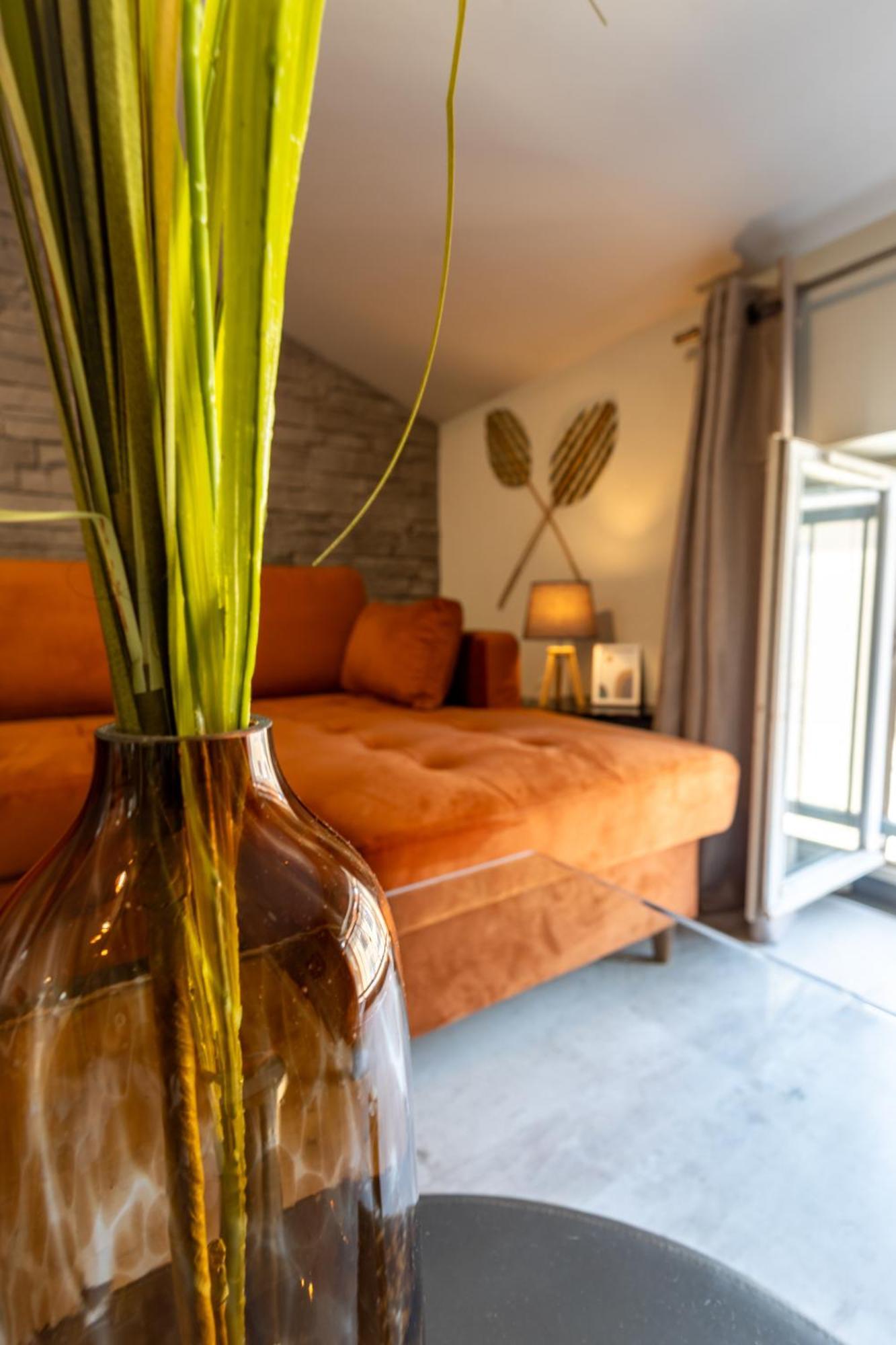Le Canope - T3 Duplex, 2 Salles D'Eau, Hypercentre Castres  Zewnętrze zdjęcie