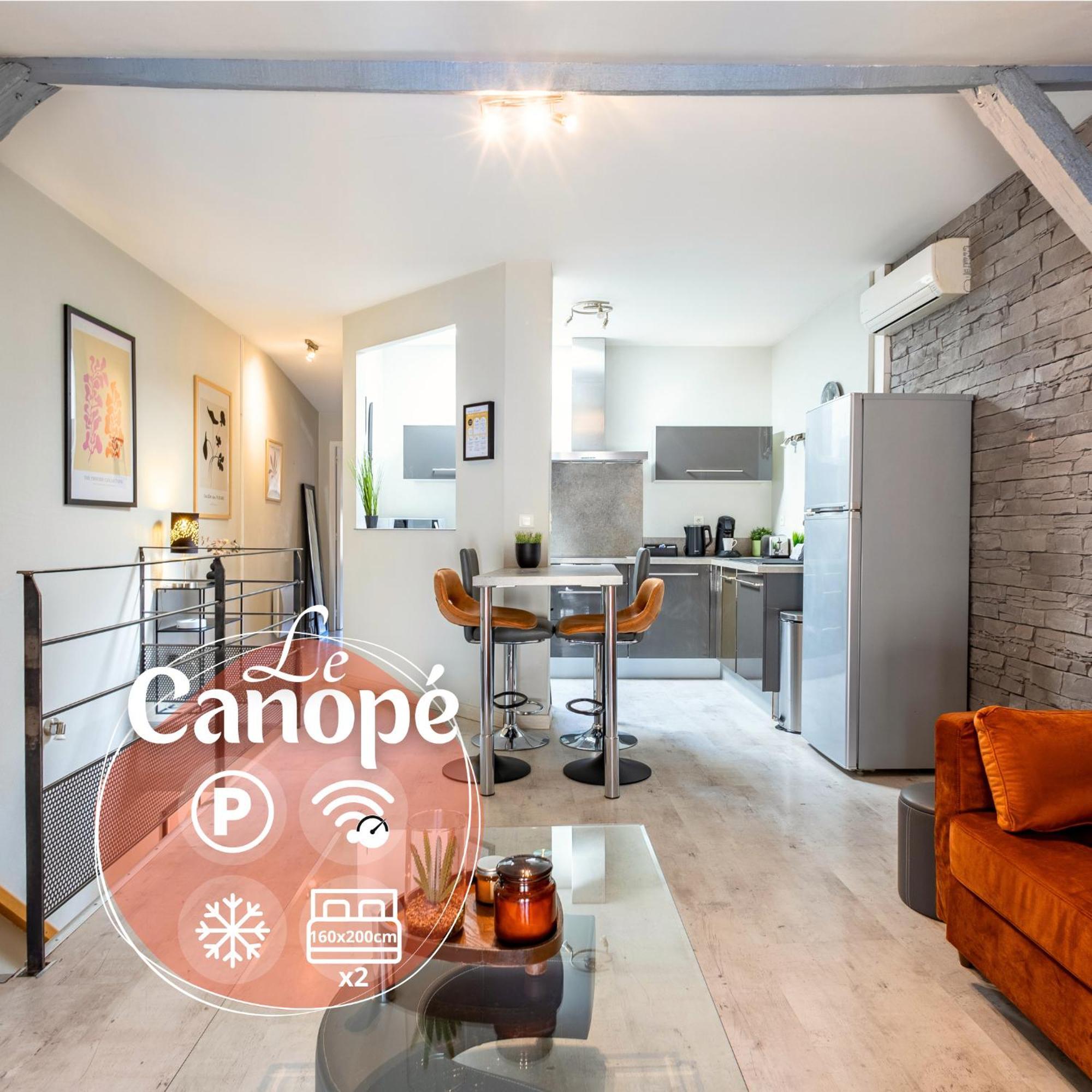 Le Canope - T3 Duplex, 2 Salles D'Eau, Hypercentre Castres  Zewnętrze zdjęcie